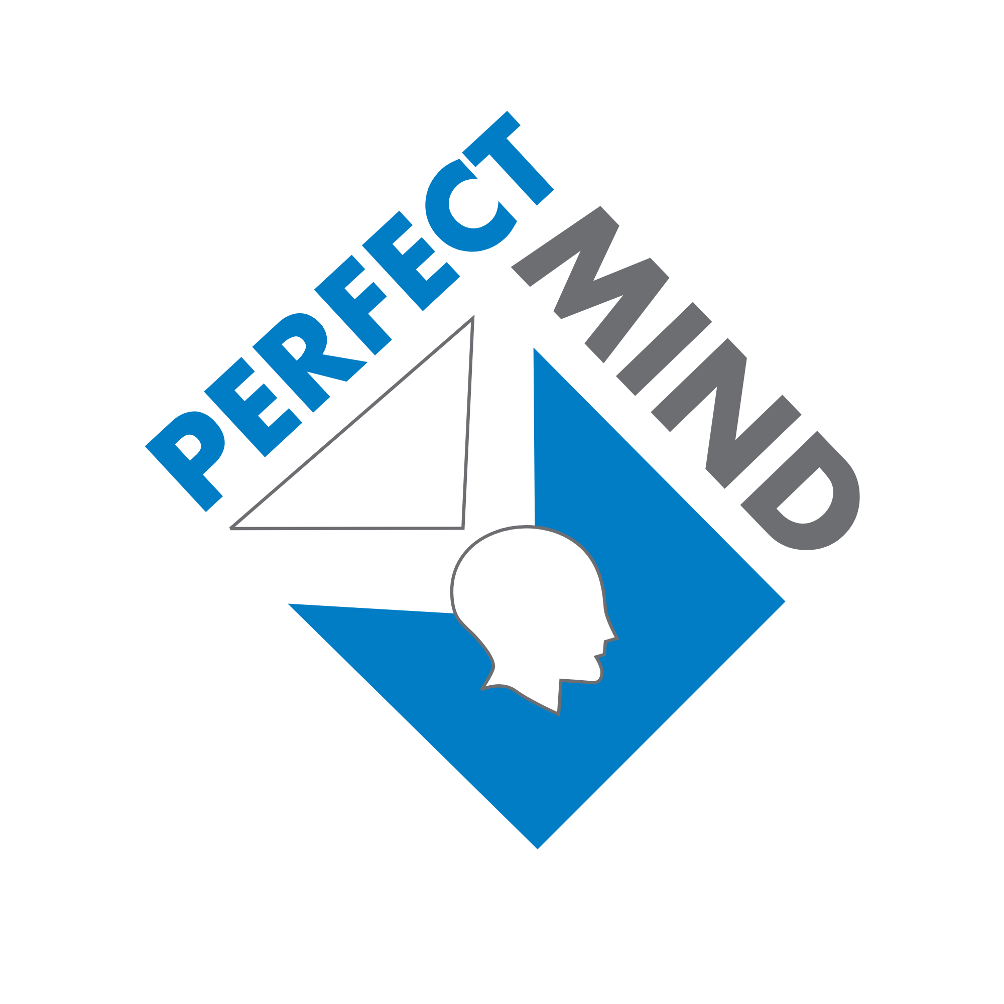 Perfect Mind