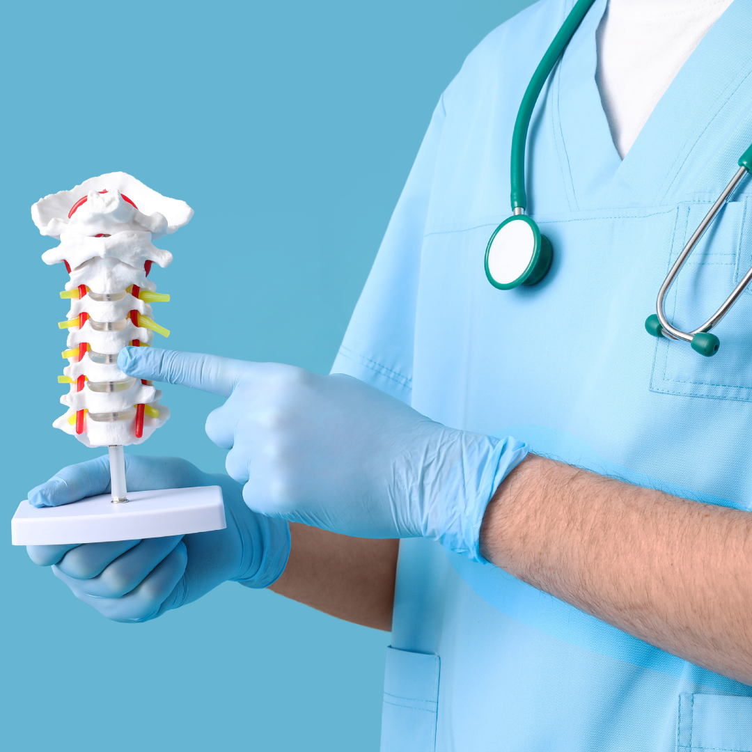 Experience & Qualified Doctors